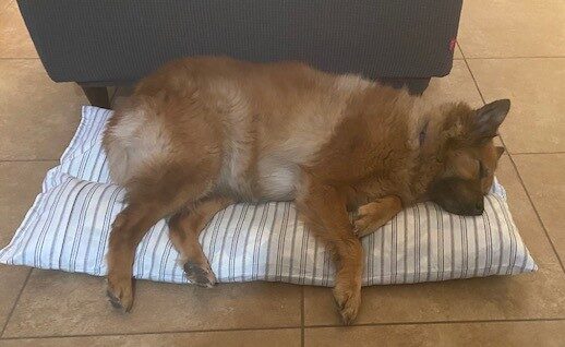 Doggie beds made from quilting material scraps by RWYS Quilting ministry Phoenix, AZ